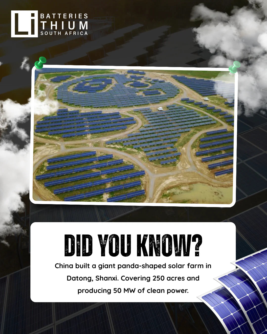 From South Africa to China – Clean Energy with Character!