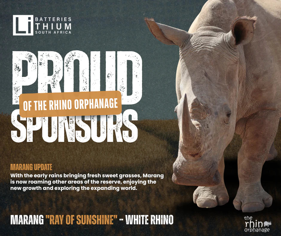 Marang - Our Adopted Rhino's Latest Adventures – Powered by LBSA