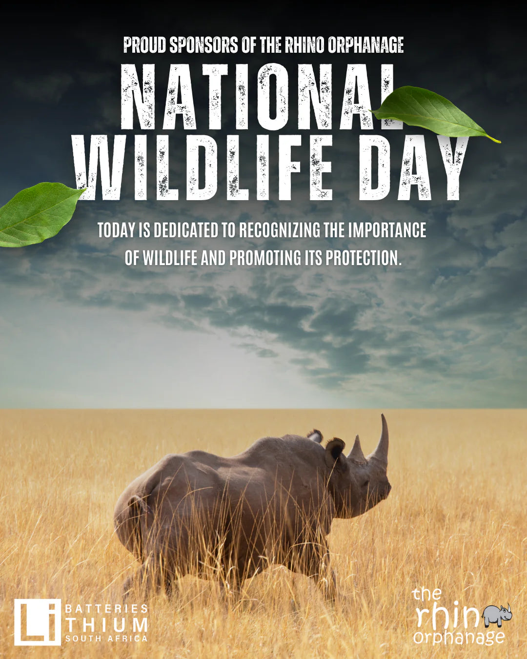 This National Wildlife Day, LBSA Powers Hope for Our Rhinos